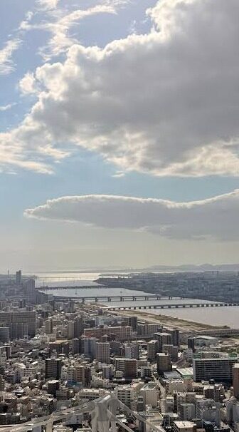 大象传媒第一页-探索大象传媒第一页的魅力与影响力