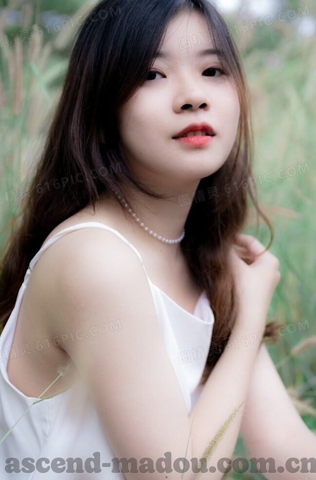 大象传媒免费看短视频-探索大象传媒，免费短视频的魅力与边界