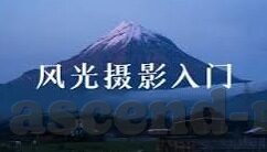 久久精品一区二区-探索网络世界的多元文化，久久精品一区二区的独特魅力