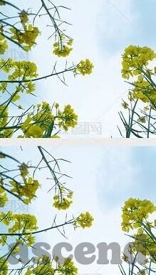 麻豆直播app下载地址-解开娱乐新界面，麻豆直播——发现美好时刻的神奇钥匙