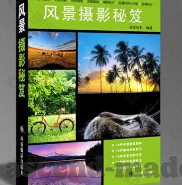 欧美伦理av-欧美伦理AV，文化、道德与个人选择的交织