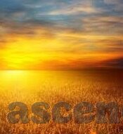 糖心vlog怎么无限看-探索繁复多彩的网上世界，揭秘糖心Vlog无限观赏的奇妙之旅